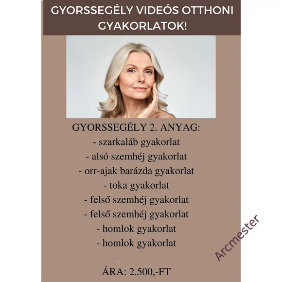 Arcmester